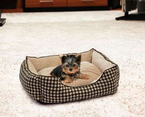 Rex - Foxly Dog Bed - Tartan