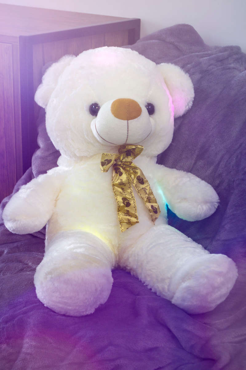 Jeronimo - LED Teddy Bear - White
