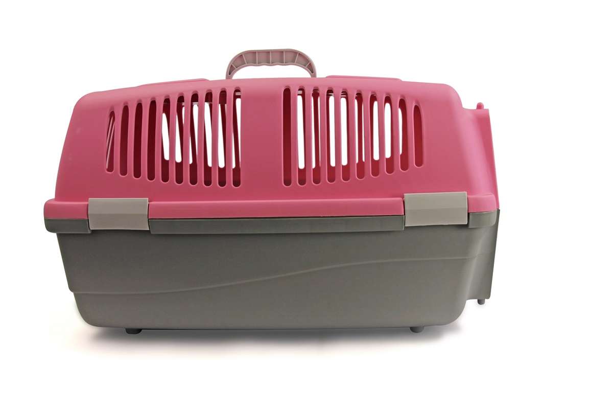Rex - Pet Travel Case - Small - Pink