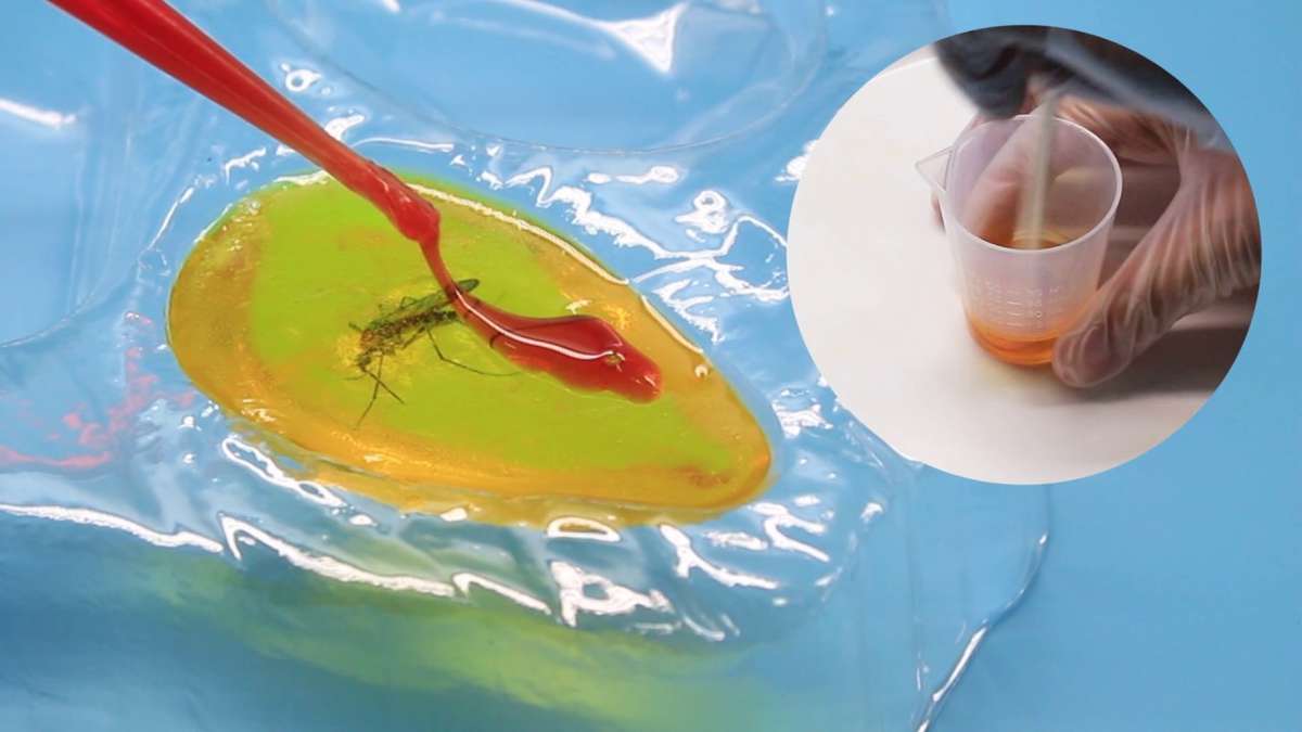 Jeronimo - Four-in-one science and education set