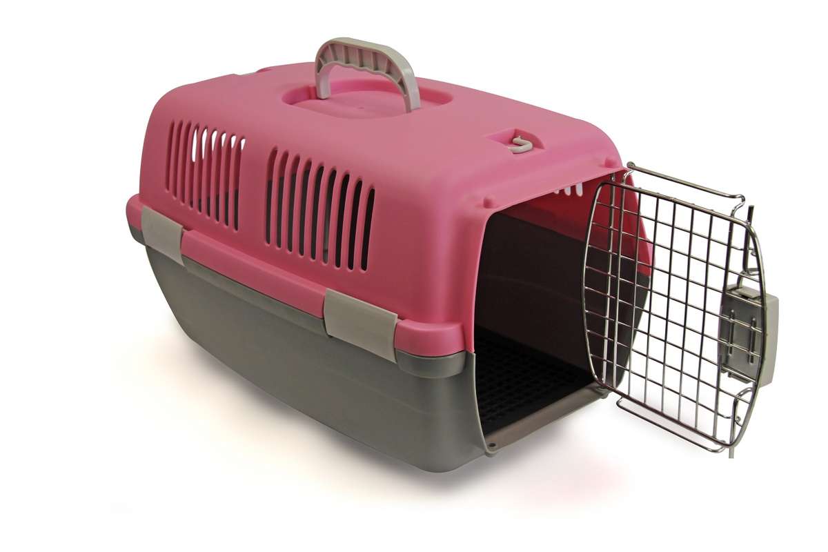 Rex - Pet Travel Case - Small - Pink