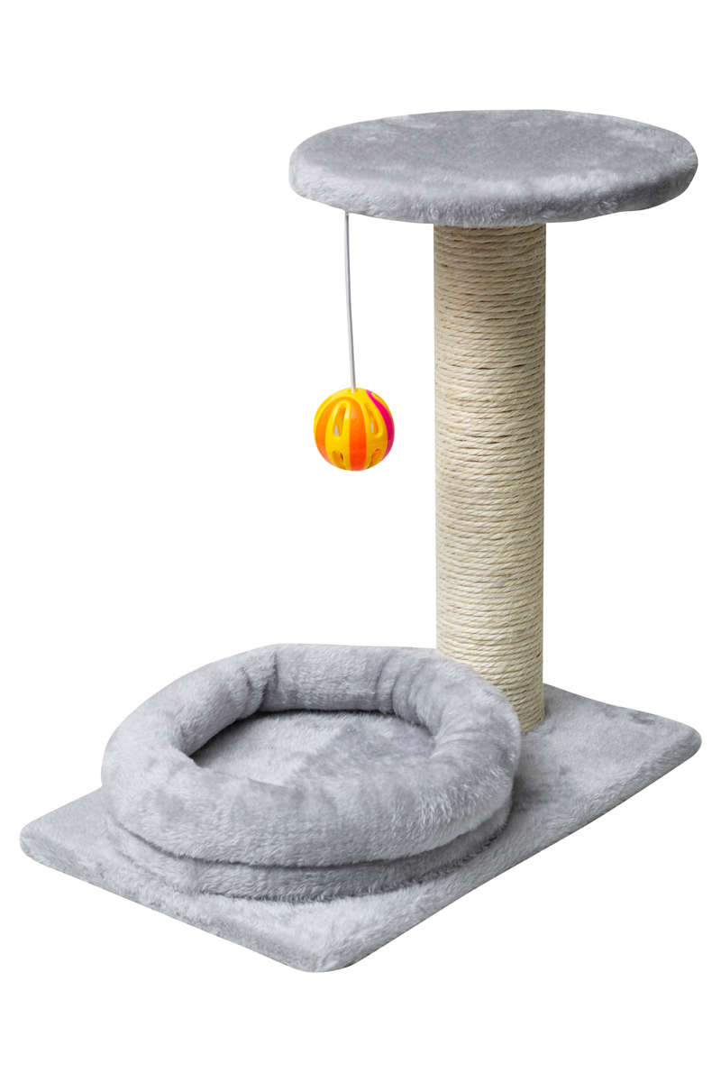 Rex-Comfy- Top Round -Scratcher Post