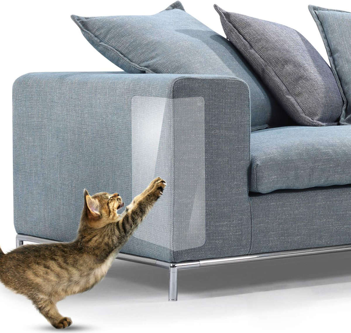 Rex Pet Scratch Guard Set of 2