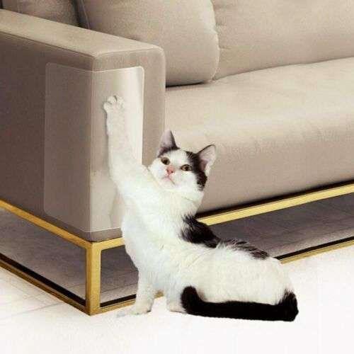 Rex Pet Scratch Guard Set of 2