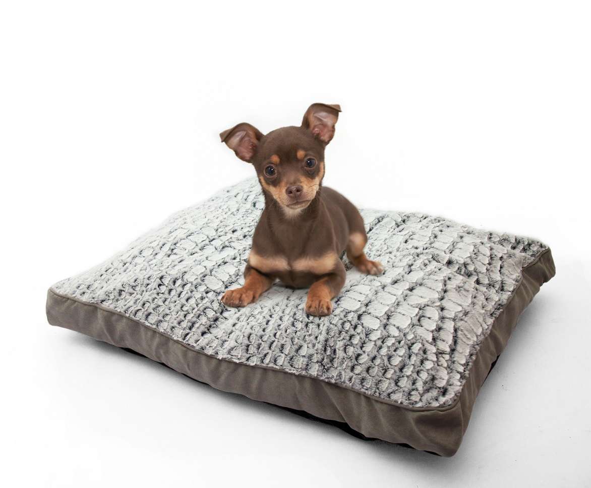 Rex - Deluxe Pet Day Bed - Large