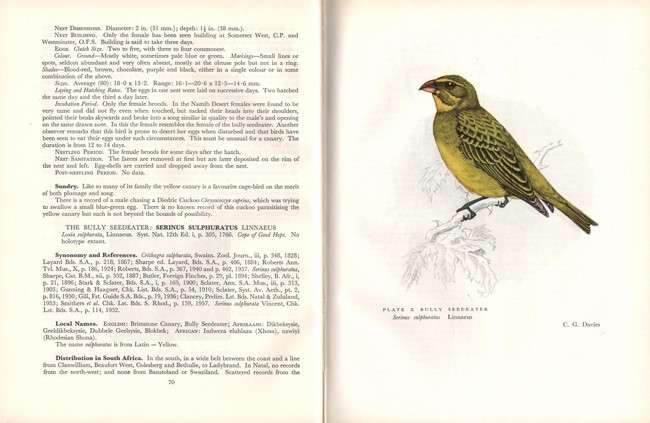 The Sunbirds of Southern Africa