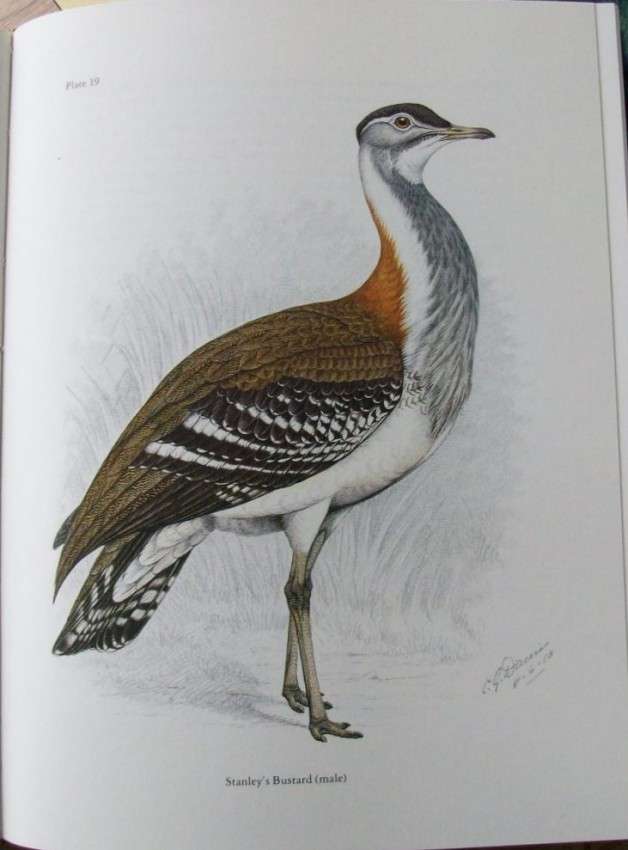 The Birds of Southern Africa by Finch-Davies (numbered edition)