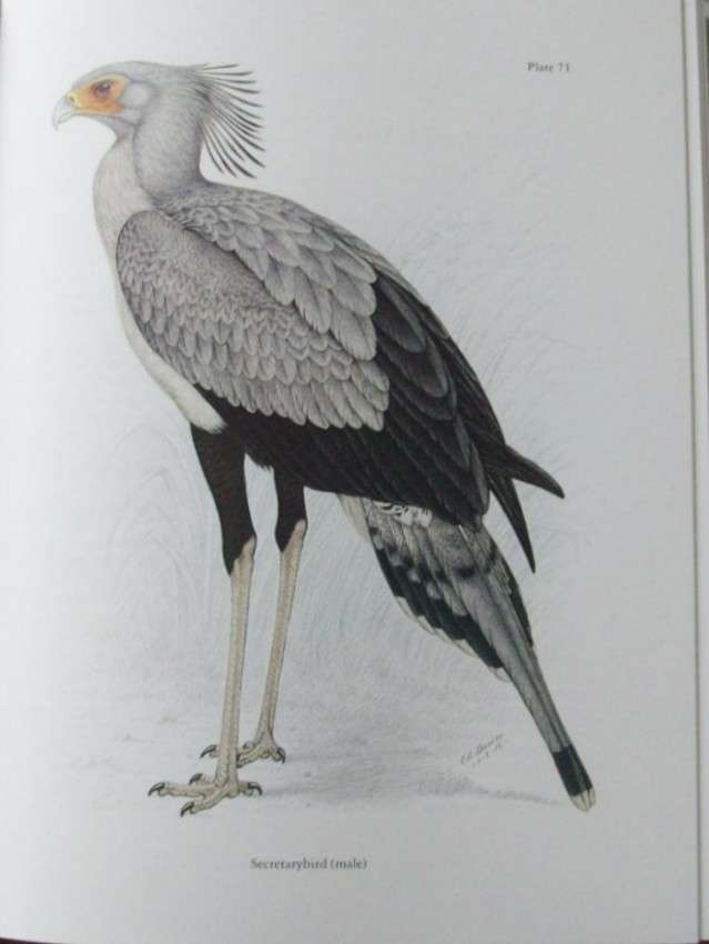 The Birds of Southern Africa by Finch-Davies (numbered edition)