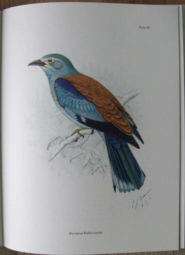 The Birds of Southern Africa by Finch-Davies (numbered edition)