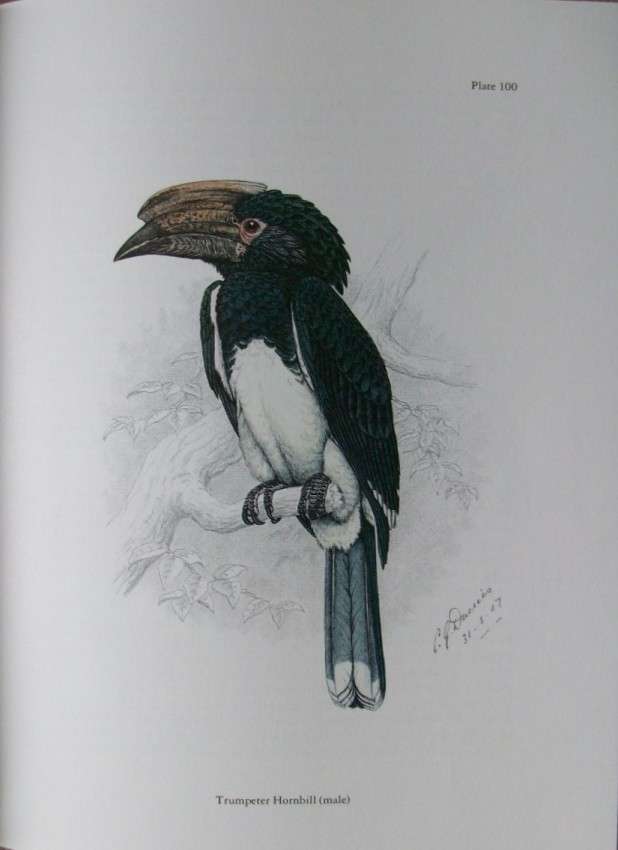 The Birds of Southern Africa by Finch-Davies (numbered edition)