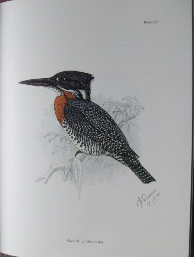 The Birds of Southern Africa by Finch-Davies (numbered edition)