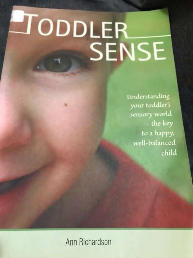 Toddler Sense - Ann Richardson