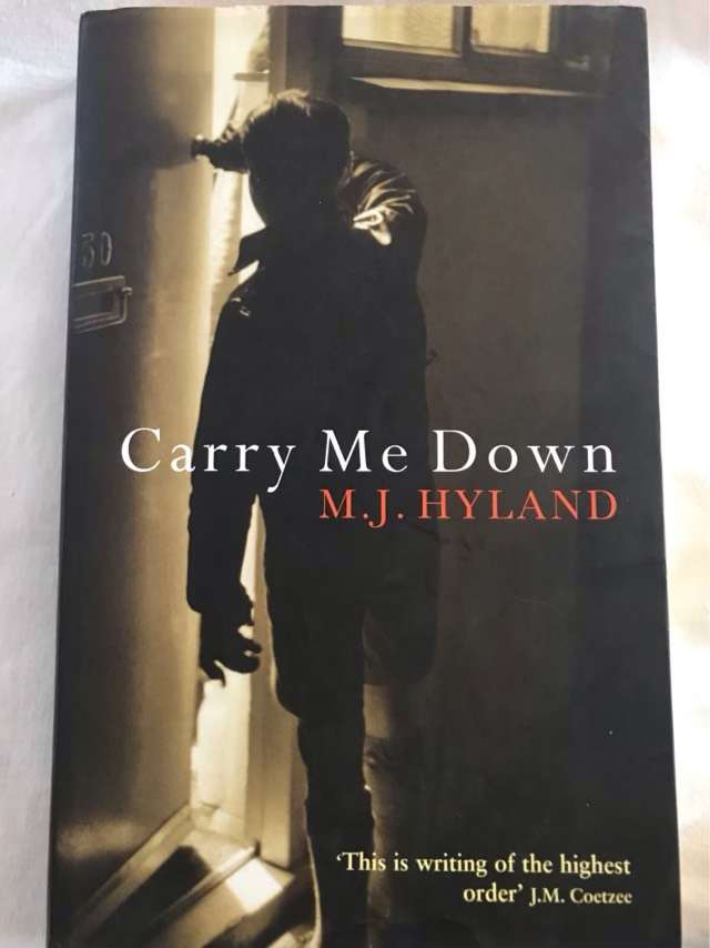 Carry Me Down - Maria Joan Hyland