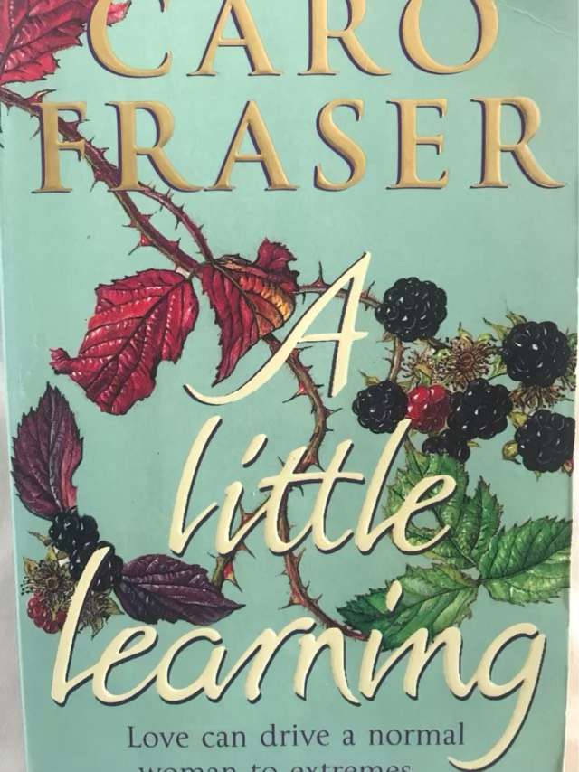 A Little Learning - Caro Fraser
