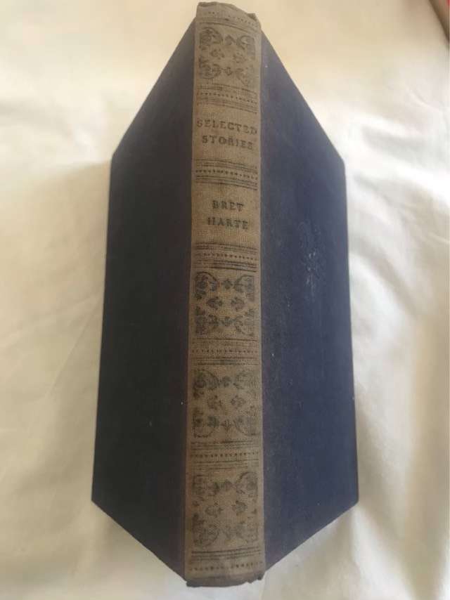 Selected Stories of Bret Harte - Bret Harte