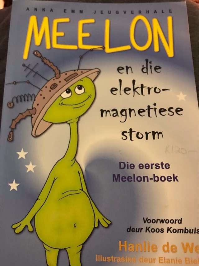 Meelon en die elektro-magnetiese storm - Hanlie de Wet
