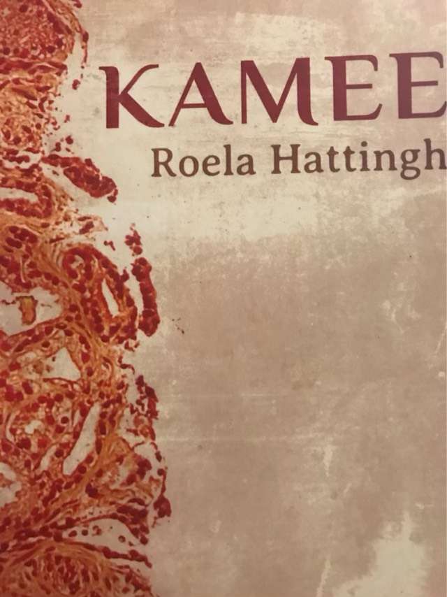 Kamee, kortverhale - Roela Hattingh