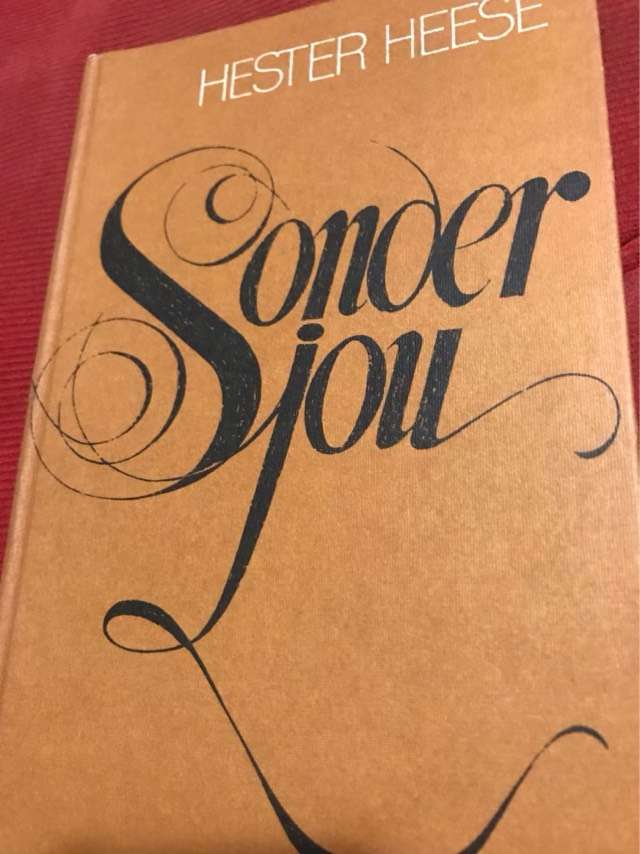 Sonder Jou - Hester Heese