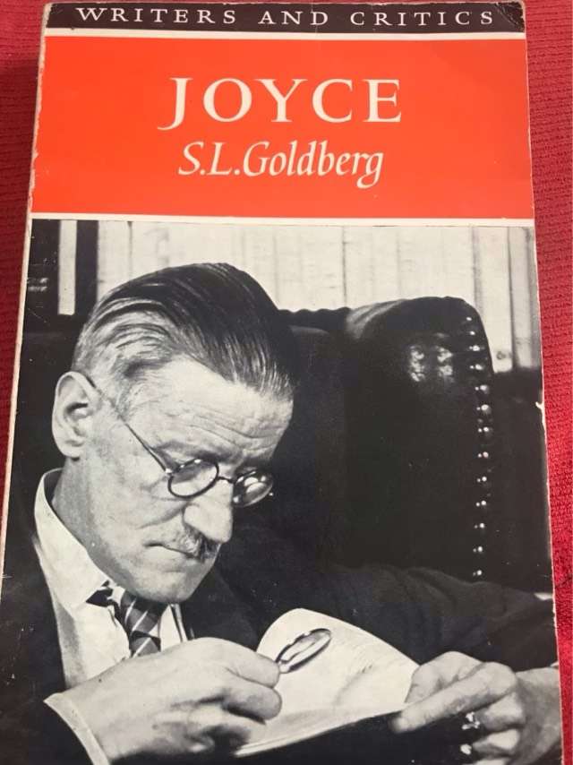 Joyce - S.L.Goldberg