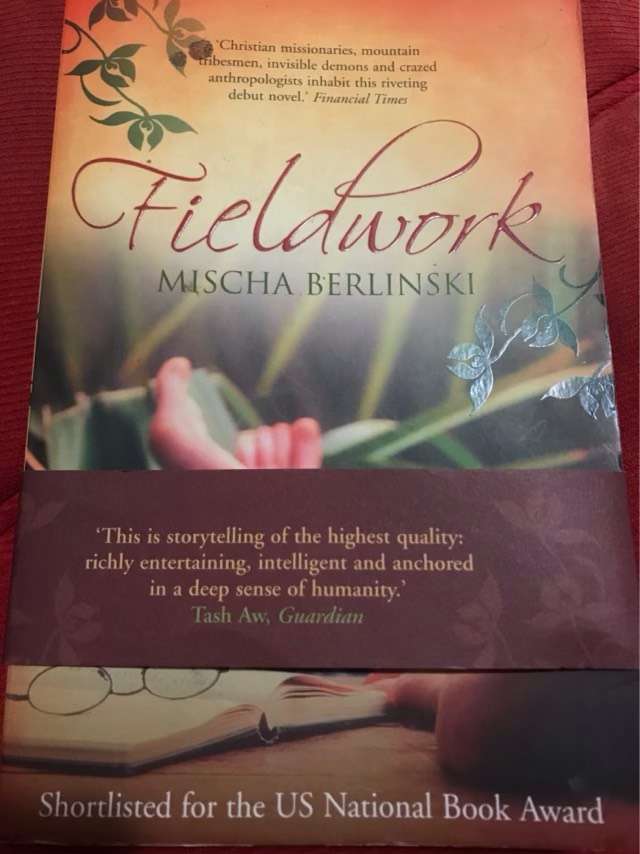 Fieldwork - Mischa Berlinski