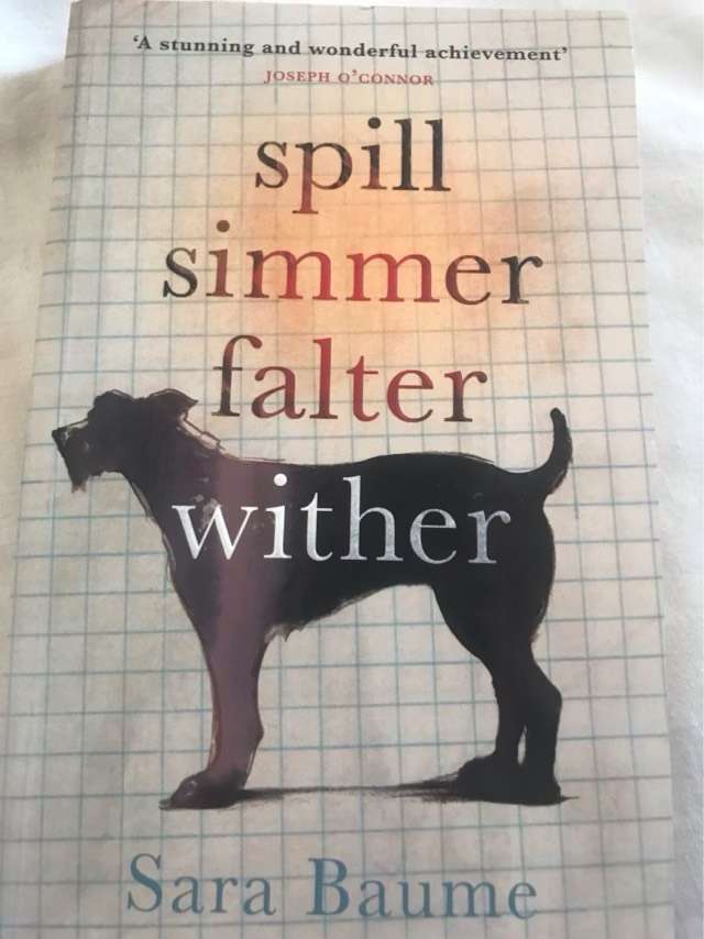 Spill, simmer, falter, wither - Sara Baume