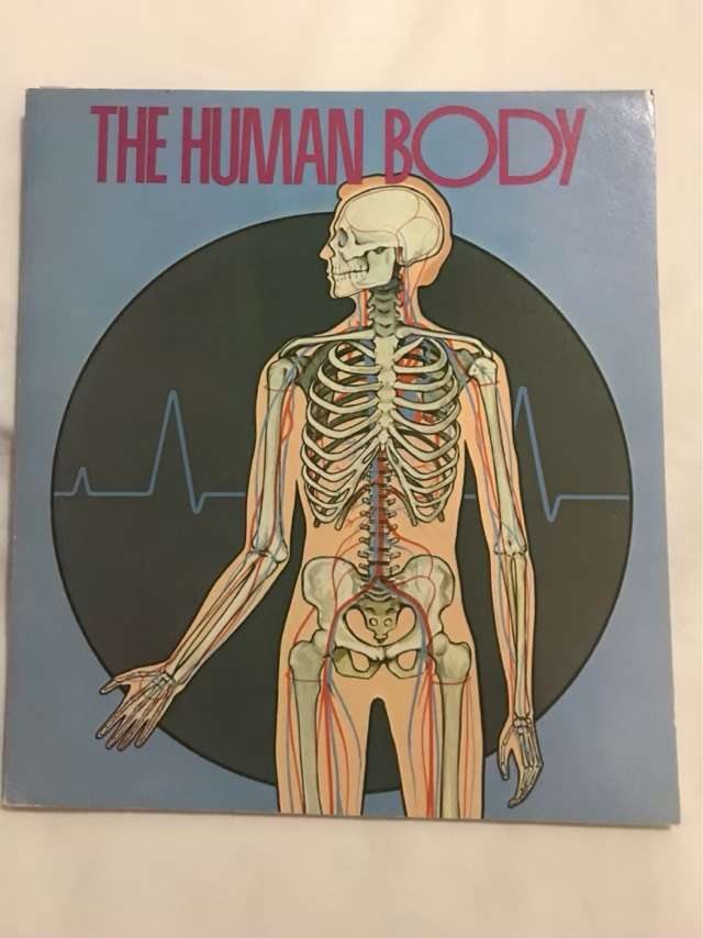 The Human Body - Martin L.Keen