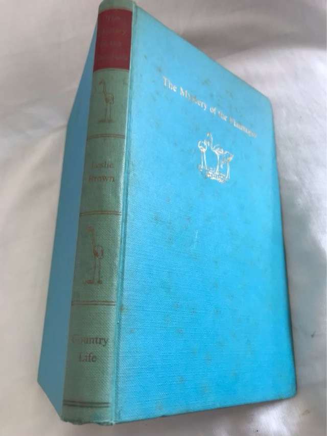 The Mystery of the Flamingos - Leslie Brown