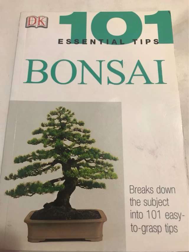 Bonsai - Harry Tomlinson
