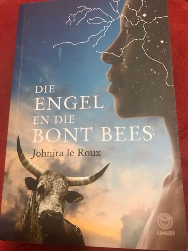 Die engel en die bont bees - Johnita Le Roux