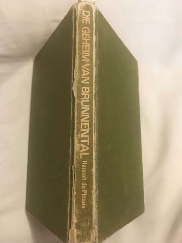 Die Geheim van Brunnental - Hannah Du Plessis