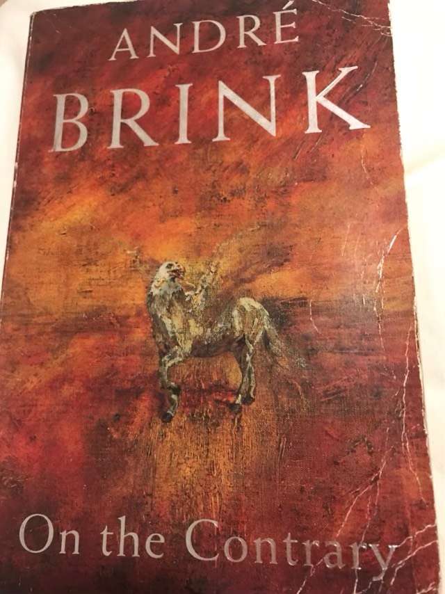 On the Contrary - Andre Brink