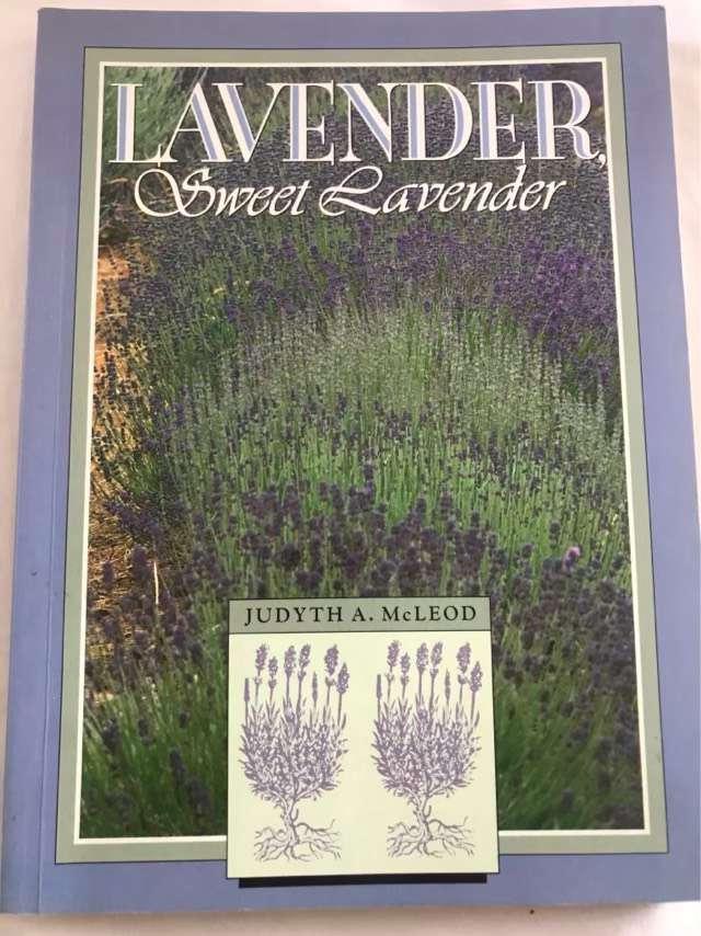 Lavender, Sweet Lavender - Judyth A. McLeod