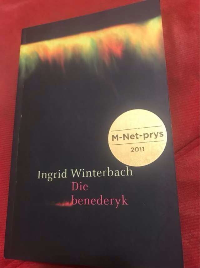 Die Benederyk - Ingrid Winterbach