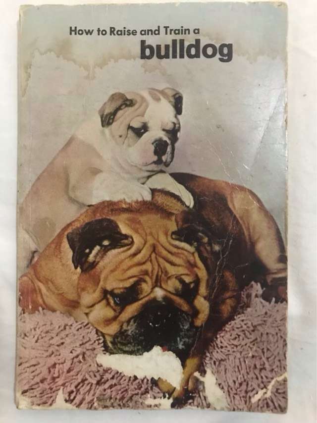 How to Raise and Train a Bulldog - Evelyn Miller