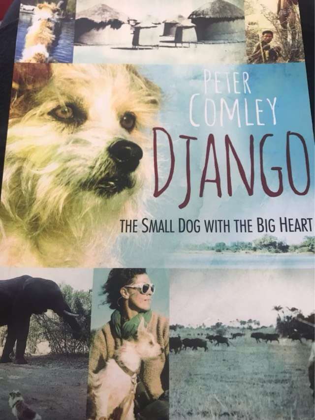 Django, The Small Dog with the Big Heart - Peter Comley
