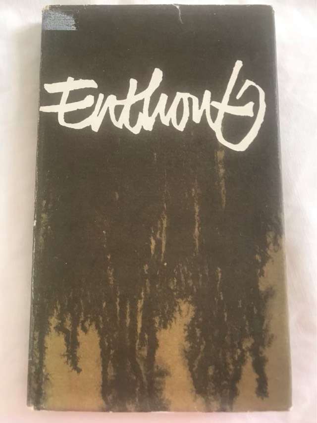 Enthout - M.S.Taljaard