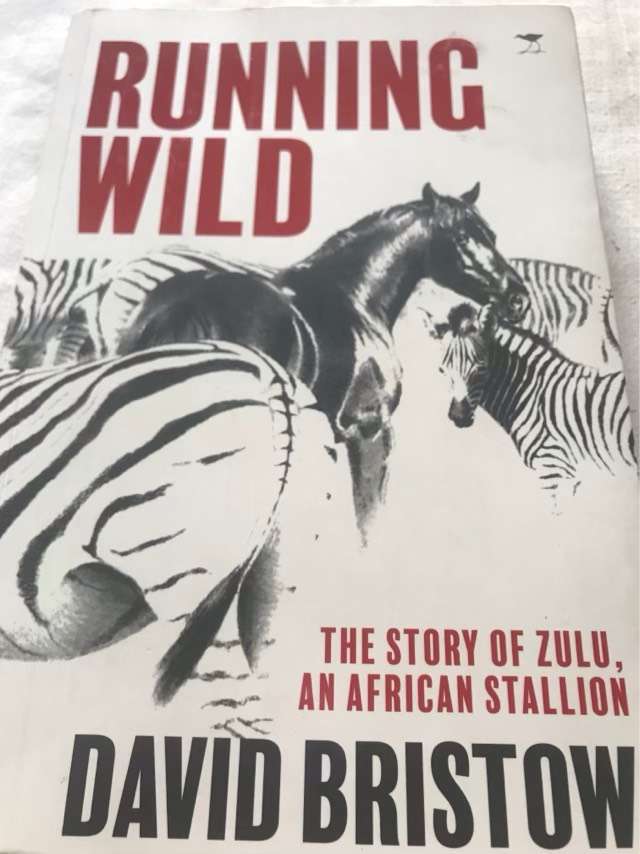 Running Wild, The Story of Zulu, an African Stallion - David Bristow