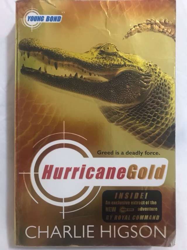 Hurricane Gold - Charlie Higson