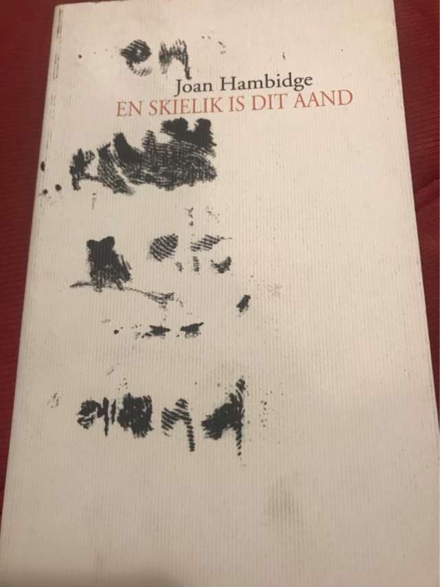 En skielik is dit aand - Joan Hambidge