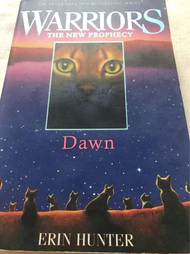 Dawn - Erin Hunter