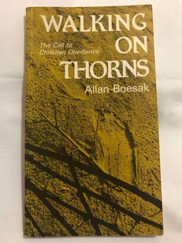 Walking on Thorns - Allan Boesak