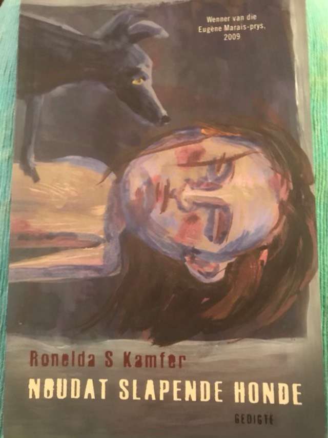 Noudat slapende honde - Ronelda S. Kamfer