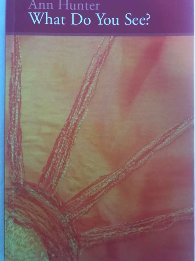 What Do You See? - Ann Hunter