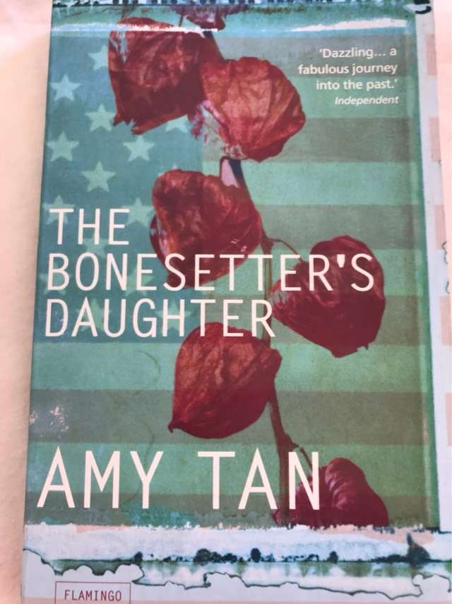 The Bonesetter's Daughter - Amy Tan
