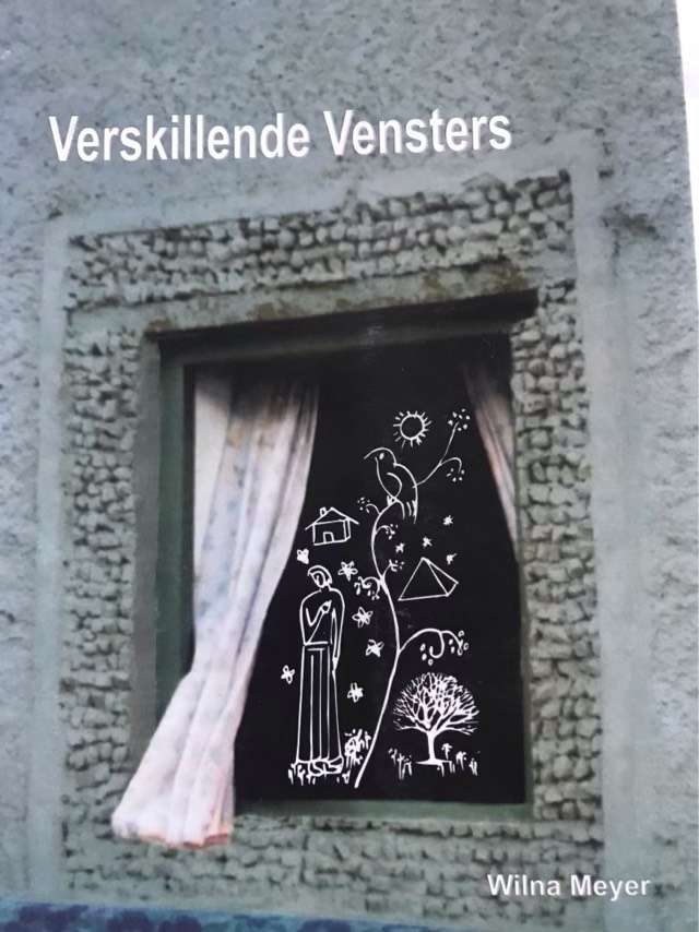 Verskillende Vensters - Wilna Meyer