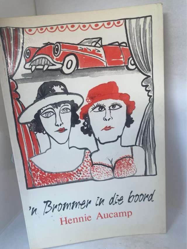 n Brommer in die boord - Hennie Aucamp