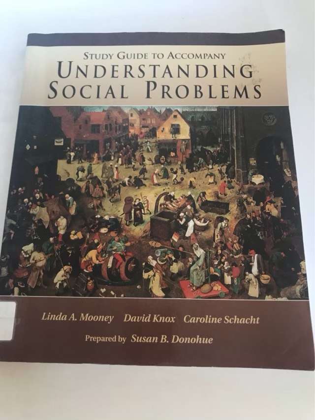 Social Problems - Linda A. Mooney