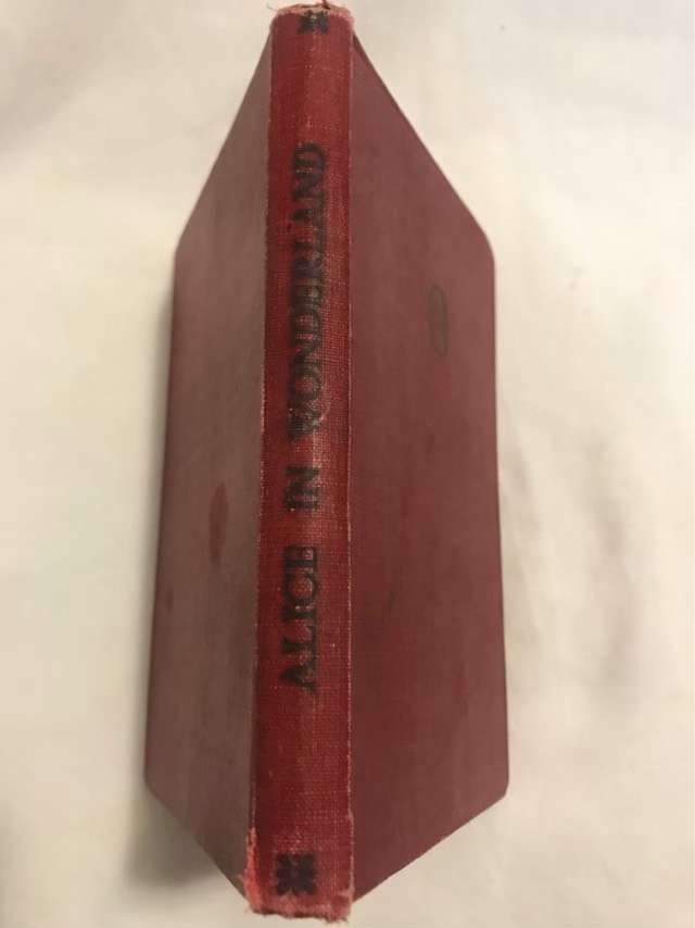 Alices Adventures in Wonderland with Brunos Revenge - Lewis Carroll