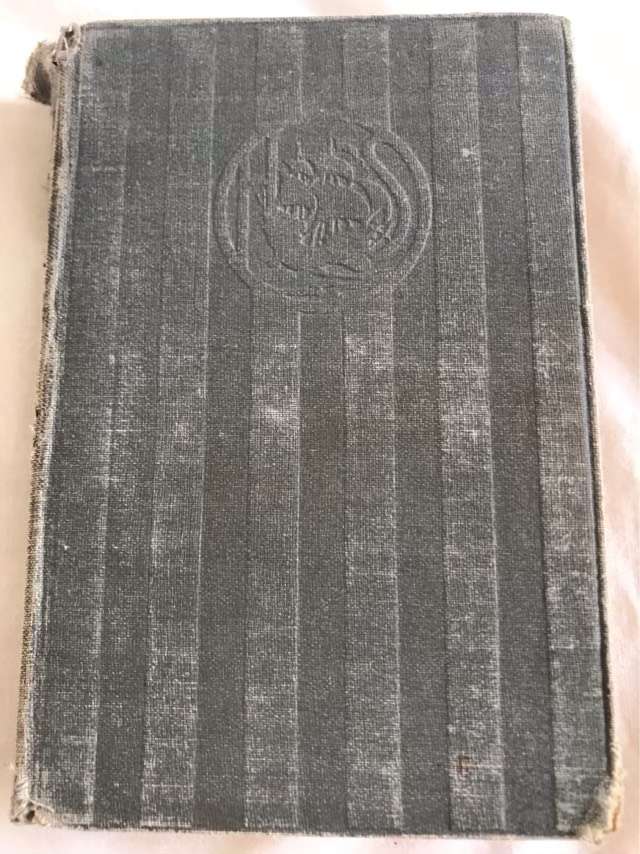 Eric Brighteyes - H.Rider Haggard
