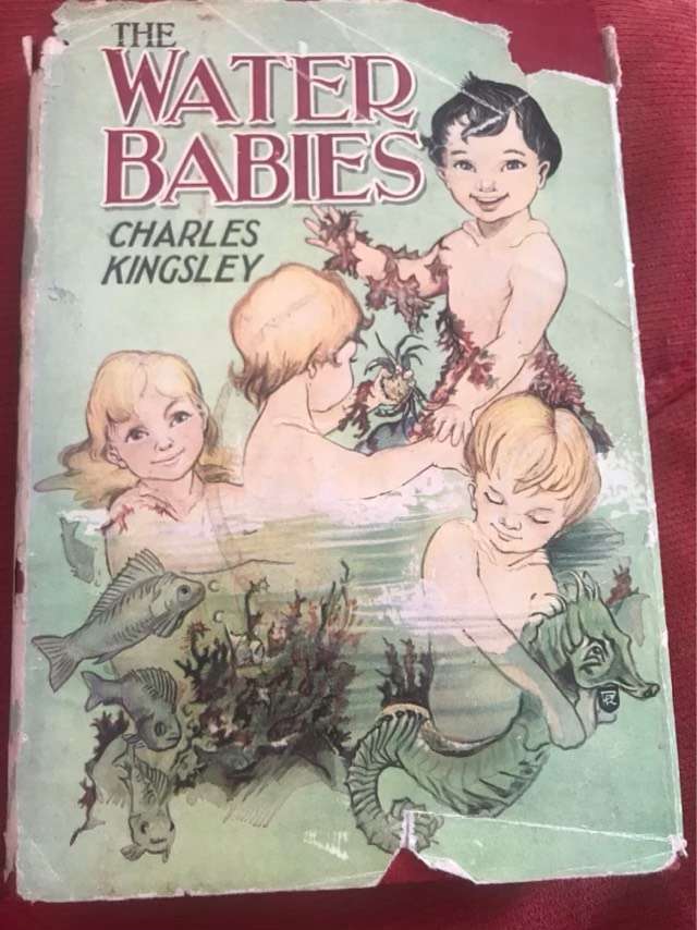 The Water-Babies - Charles Kingsley